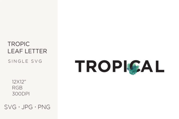 Tropic Leaves, Palm Leaf Word Tropical Graphics & Icons